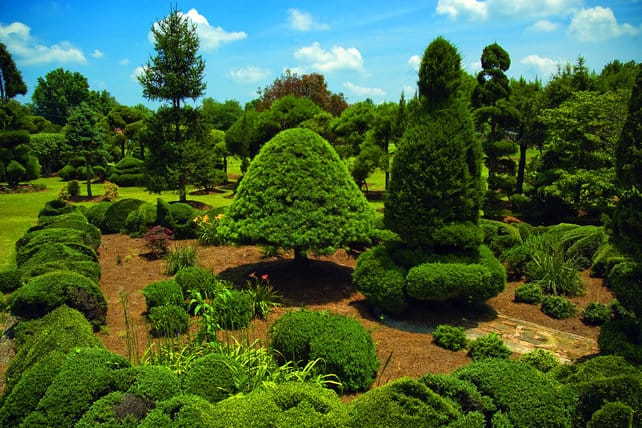 pearl fryar topiary garden